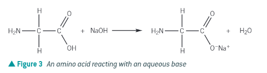 <p>salt + water </p><p><strong>carboxylic acid loses H+!</strong></p>