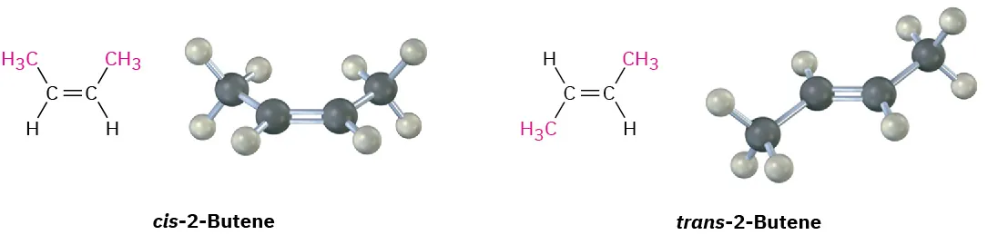 <p><span>Since bond rotation can’t occur, the two 2-butenes can’t spontaneously interconvert; they are different, isolable compounds. As with disubstituted cycloalkanes, we call such compounds ___-____ __________. The compound with substituents on the same side of the double bond is called </span><em>cis</em><span>-2-butene, and the isomer with substituents on opposite sides is </span><em>trans</em><span>-2-butene</span></p>