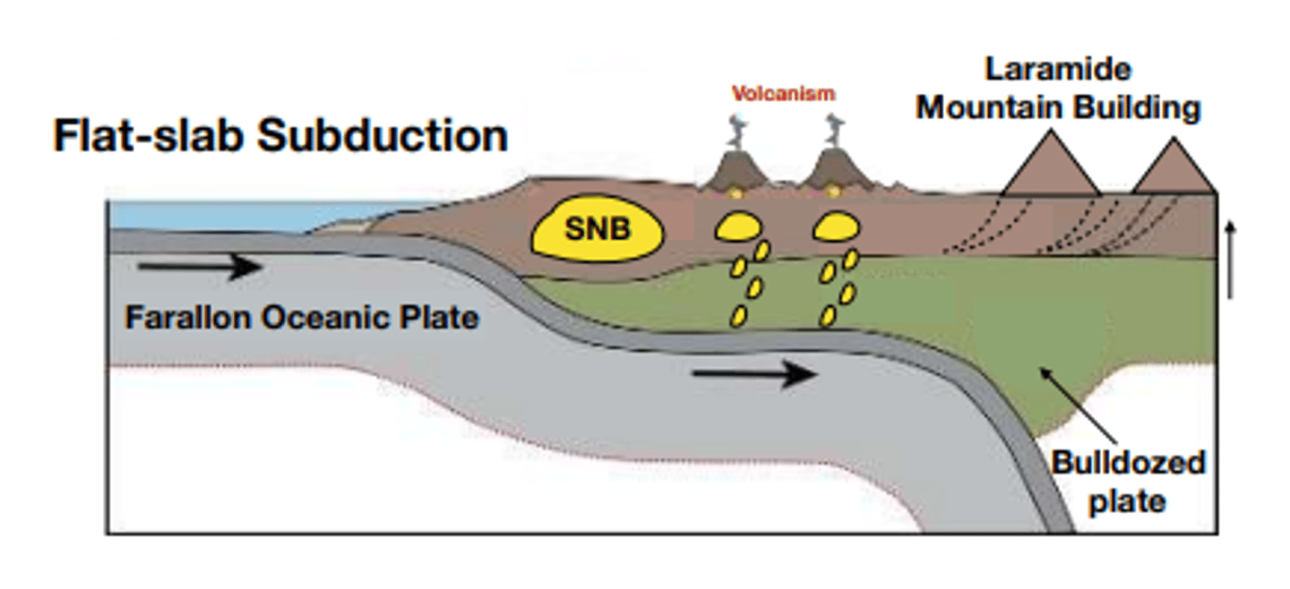 <p>The Farallon Plate subducted under the North American plate at a relatively low angle (Why? We don't really know...)</p><p>The underlying oceanic lithosphere caused drag on the root of the overlying North American Plate</p>
