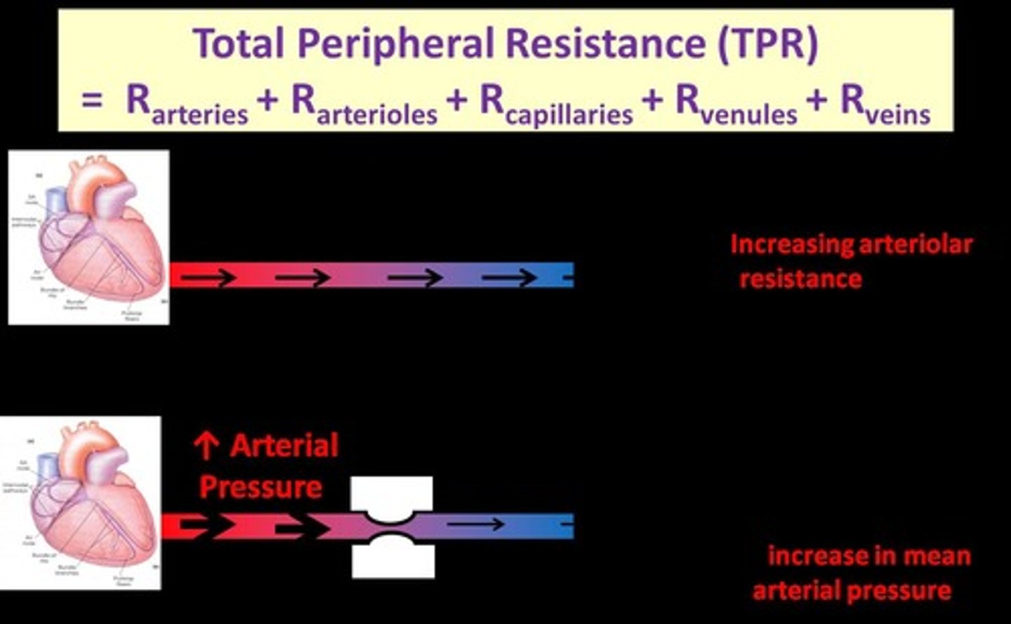 <p>Opposition to blood flow within blood vessels.</p>