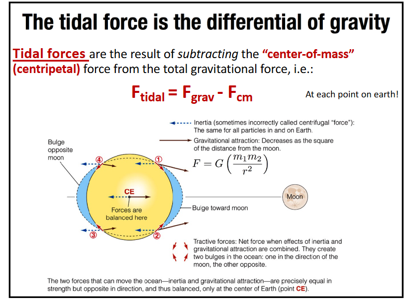 <p>F<sub>tidal</sub> = F<sub>gravity</sub> - F<sub>cm</sub></p><p>tidal forces are the result of subtracting the center of mass (centripetal) force from the total gravitational force</p>