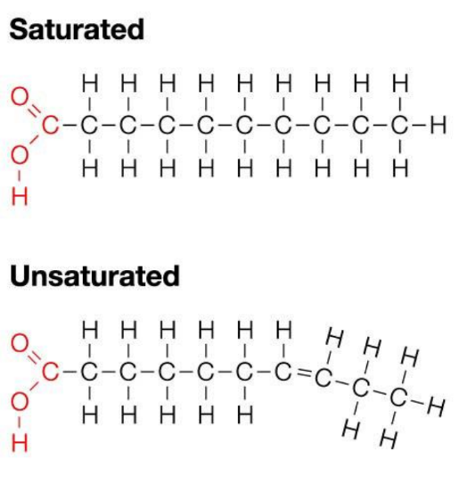 <p> single bonds between C-H</p><ul><li><p>solid at room temp (ie. veg oil)</p></li><li><p>straight H-C chains fit close together (many van der waals attractions</p></li></ul><p></p>