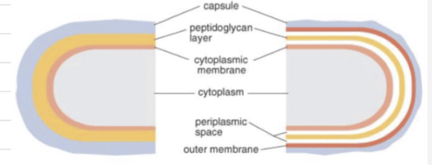 <p>which is G-? why?</p>