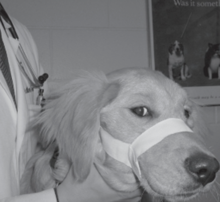 <p>Describe this therapy and the most likely reason for its use.</p><p>a. Therapy</p><p>b. Reason for its use:</p>