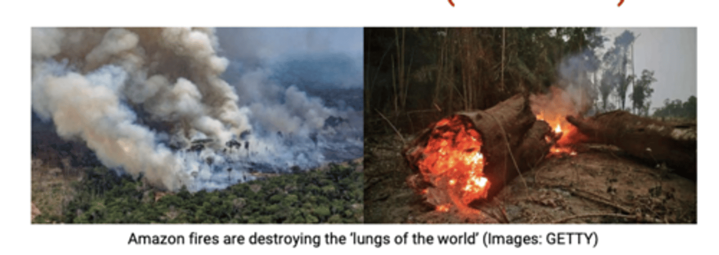 <p>Many naturally fire-resistant ecosystems are being disturbed by human activities, reducing their natural fire resistant's by changing their climates and making them more flammable<br><br>e.g., Amazon Rainforest, Malaysian Peat Swamps</p>
