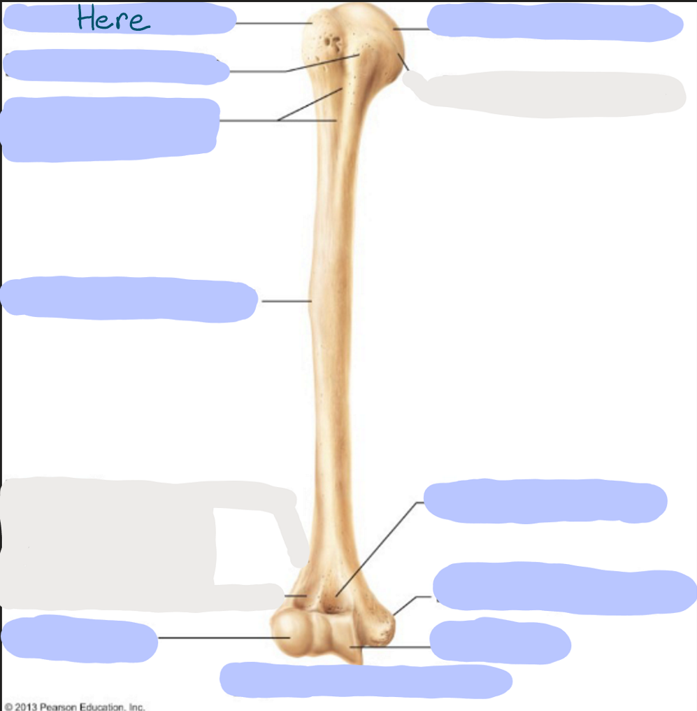 <p>What is here?</p>