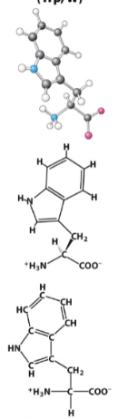 <p>Hydrophobic R-group. </p>