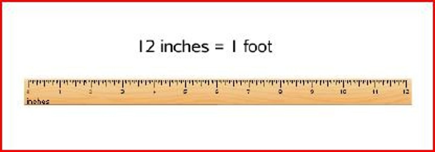 <p>A customary unit of length.</p><p>1 foot = 12 inches.</p>