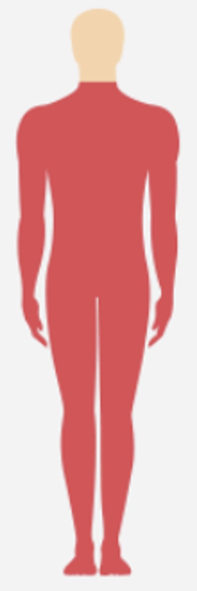 <p>% of complete quadriplegia</p>