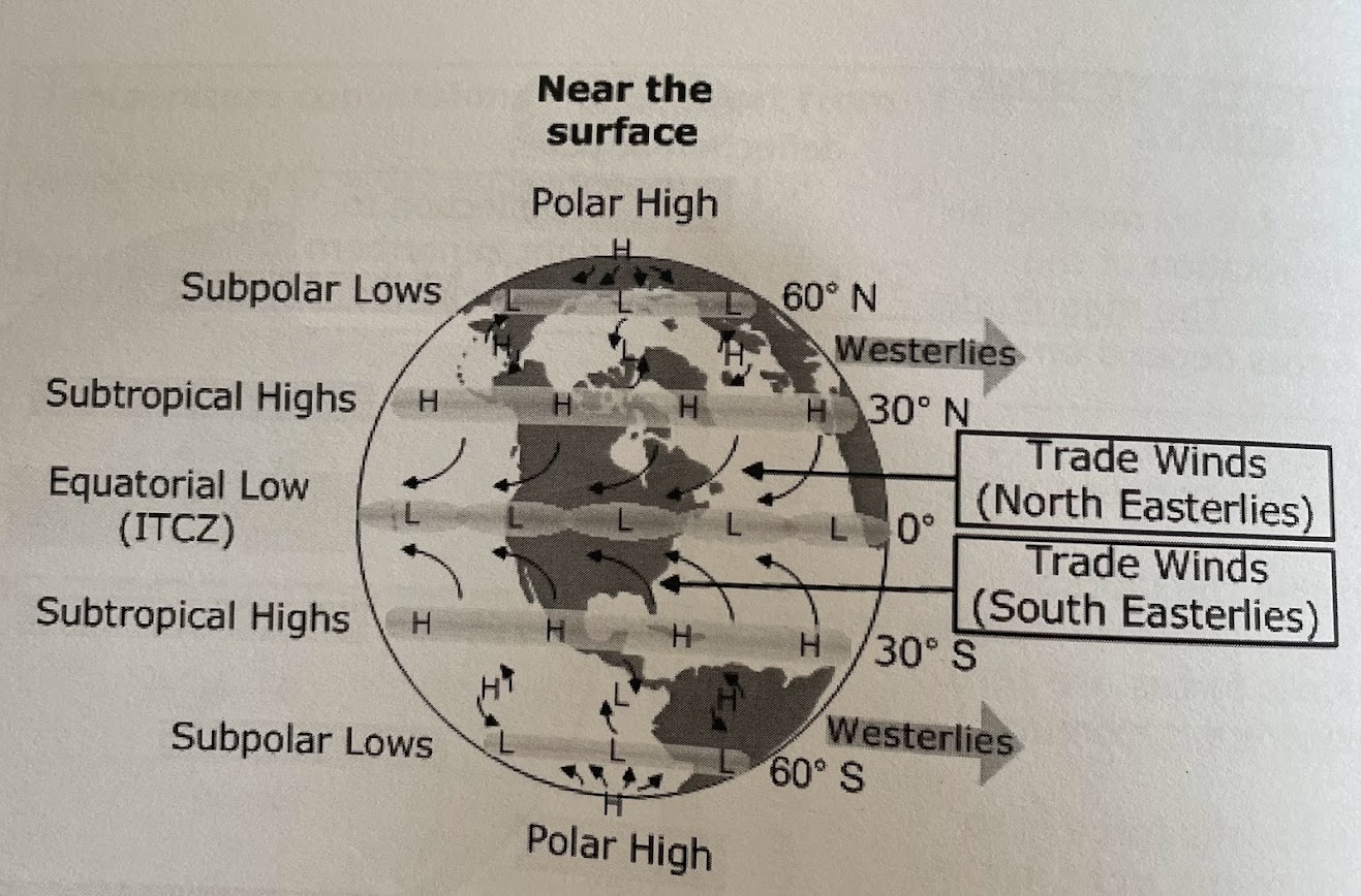 <p>surface winds are more complex and influenced by the surface over which they are blowing (land, water, mountains, valleys etc)</p>