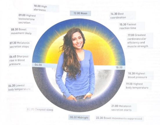 <p>The <span style="color: blue;">recurring pattern</span> of <span style="color: blue;">wakefulness </span>and <span style="color: blue;">sleep </span>that <span style="color: blue;">individuals </span>undergo on a <span style="color: blue;">daily basis</span></p><ul><li><p>Measured by <span style="color: blue;">recording times</span> of <span style="color: blue;">regular events</span> e.g. eating and sleeping</p></li><li><p><span style="color: blue;">Regulated </span>by the <span style="color: blue;">circadian rhythm, body temperature, metabolic rate, and release of hormones</span></p><p></p></li></ul><p></p>