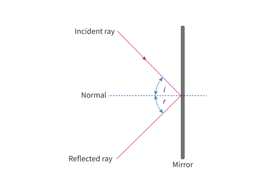 <ul><li><p>Normal line: line perpendicular to the surface of the boundary</p></li><li><p>Incident ray: ray of light travelling to the object</p></li><li><p>Reflected ray: ray of right being reflected from the object</p></li></ul><p></p>