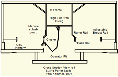 <p>The cows are placed at a greater angle from the operator (about 70 degrees) than in traditional herringbones but less than 90 degrees as in a parallel. </p><p>Procedures and equipment developed for milking between the hind legs are used. Milklines are typically mounted as “midlines” or above the head of the operator resulting in a lift from the udder to milk line of about 1 meter  </p><p>The primary advantage is that fewer milking units are needed and stall designs are simper, both of which reduce the initial cast of the parlor. The main disadvantage is this parlor type is the inconvenience resulting from milk hoses hanging in the operator area and the inefficiencies resulting from switching unit from side to side (especially for a slow milking cow and/or cow requiring special attention. This parlor type is not suited to the use of support arms and automatic detachers are typically mounted above the milkline.  </p>