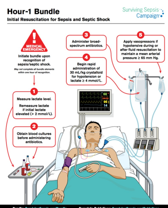 <p>Upon recognition of sepsis/septic shock…</p><ol><li><p>Measure lactate level. If elevated, remeasure</p><ul><li><p>&gt;2 mmol/L</p></li></ul></li><li><p>Blood cultures (BEFORE ABX ADMIN)</p></li><li><p>Administer broad abx </p></li><li><p>Rapid admin of 30 mL/kg saline for hypotension OR lactate &gt;4mmol/L</p></li><li><p>Apply vasopressors if hypotension persists to maintain MAP&gt;65</p></li></ol><p></p>