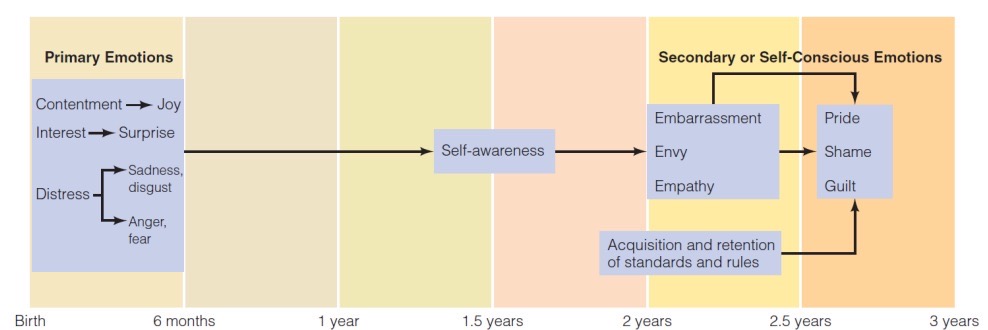 <p>Emotions are observable in the first days of life. Become more complex with age - depends on cognitive development.</p><p>Babies are observed in certain situations - emotion research in infants.</p>
