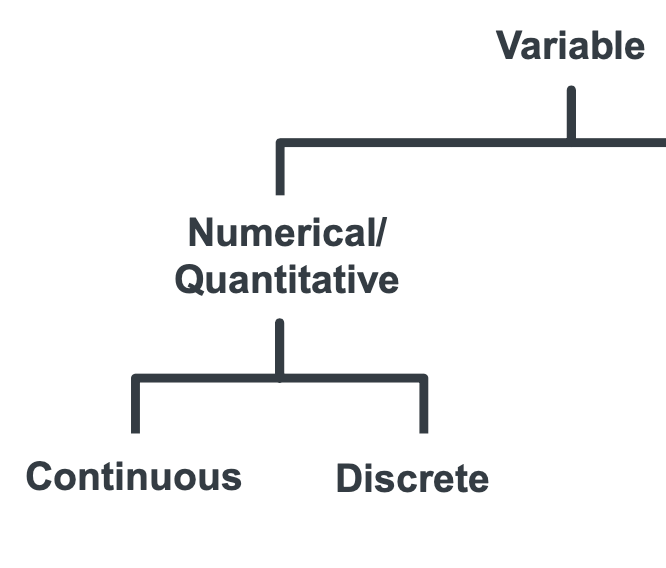 <ul><li><p>Continuous</p></li><li><p>Discrete</p></li></ul><p></p>
