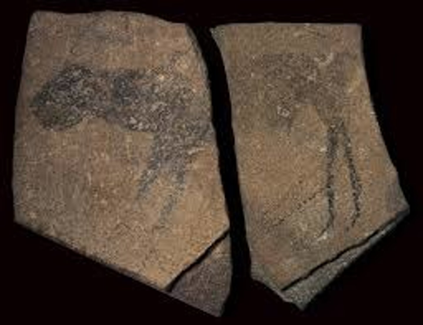 <p>unknown</p><p>Namibia</p><p>charcoal on stone (quartzite)</p><p>religious? decorative?</p>