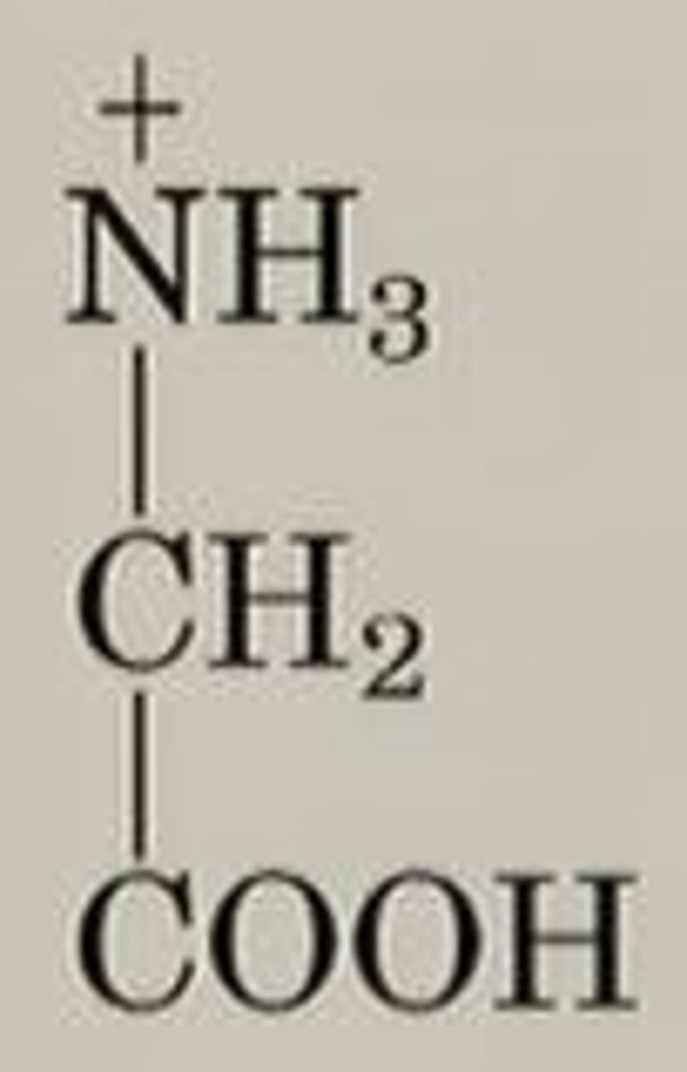 <p>carboxylic acid neutral; amine as conj. acid (+1), total charge is +1.</p>