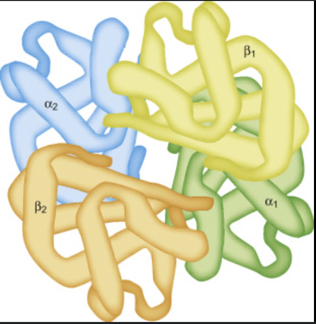<p>What macromolecule?</p>