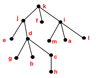 <p>Which choice corresponds to the leaves of the tree?</p>