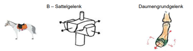<p>Sattelgelenk</p><ul><li><p>zbsp.: Daumengrundgelenk</p></li></ul><p></p>