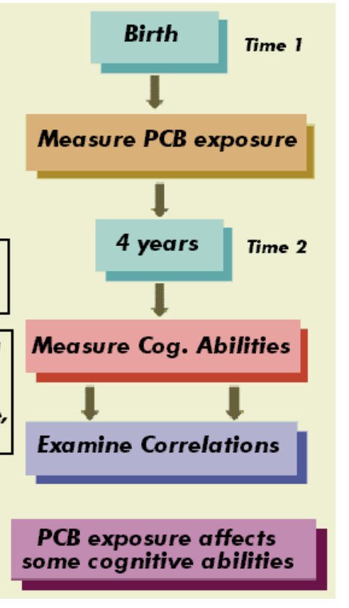 <p>Q: Does PCB exposure lead to longterm cog deficits? </p><p>M: 236 children in Michigan observed in a correlational study. PCB concentration measured from blood in umbilical cord &amp; mother’s breast milk while cog abilities measured using McCarthy scales for abilities across 5 areas</p><p>C: negative correlation between PCB level of exposure and 2 cog abilities = verbal and memory</p>