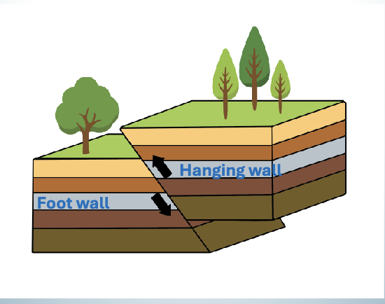 <ul><li><p>form from compression </p></li><li><p>hanging wall moves up relative to foot wall </p></li></ul><p></p>