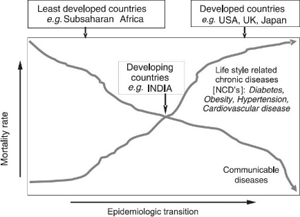 <p>The epidemiological transition model</p>