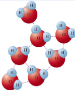 <p>Hydrogen Bonding</p>