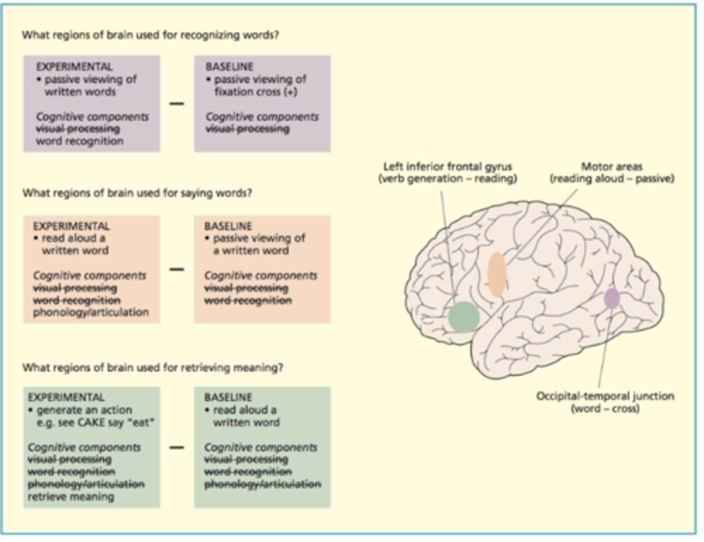 <p>a type of experimental design in functional imaging in which activity in a control task is subtracted from activity in an experimental task</p>