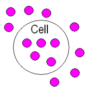 <p><span style="background-color: transparent;">A solution whose solute concentration is <strong>higher</strong> than the solute concentration inside a cell.</span></p><p></p>