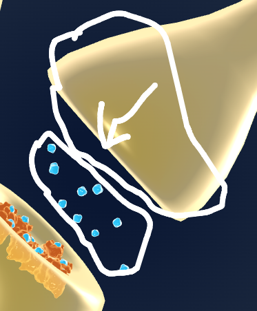 <p>What are the neurotransmitters released from?</p>