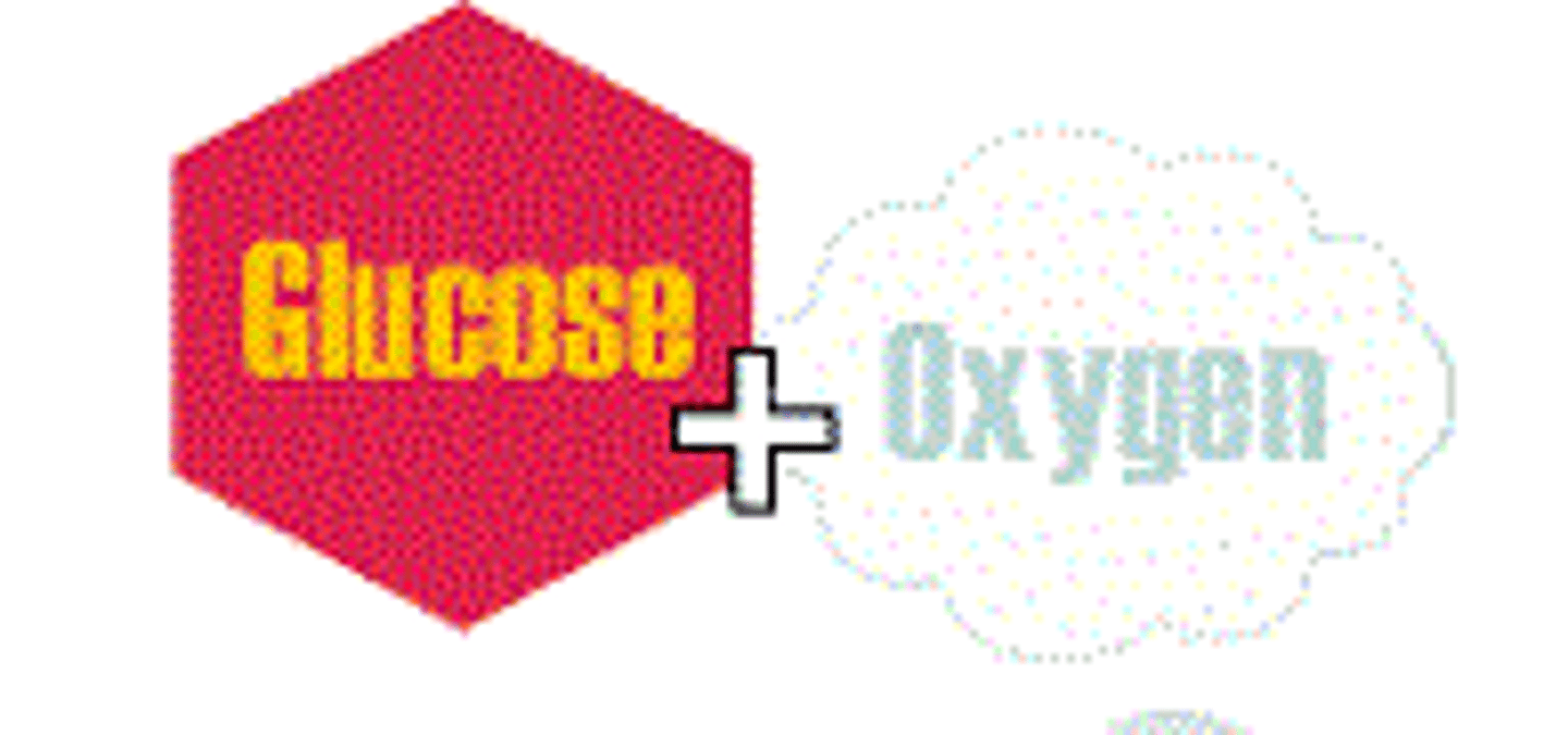 <p>Ending materials in a chemical reaction.</p>