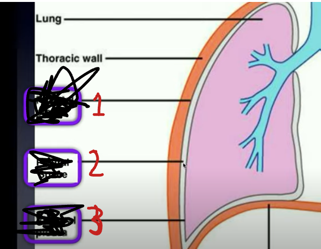 <p>Number 3</p>