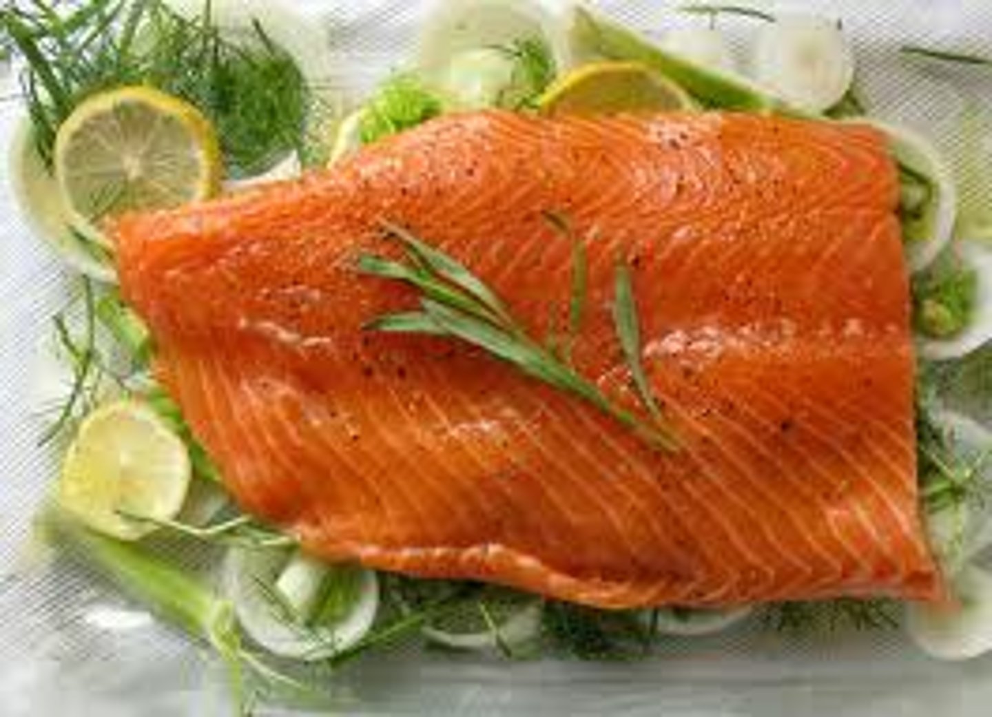 <p>fish</p>