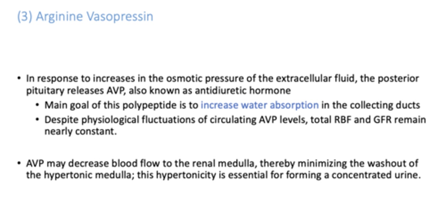 <p>arginine vasopressin (aka ADH)</p>