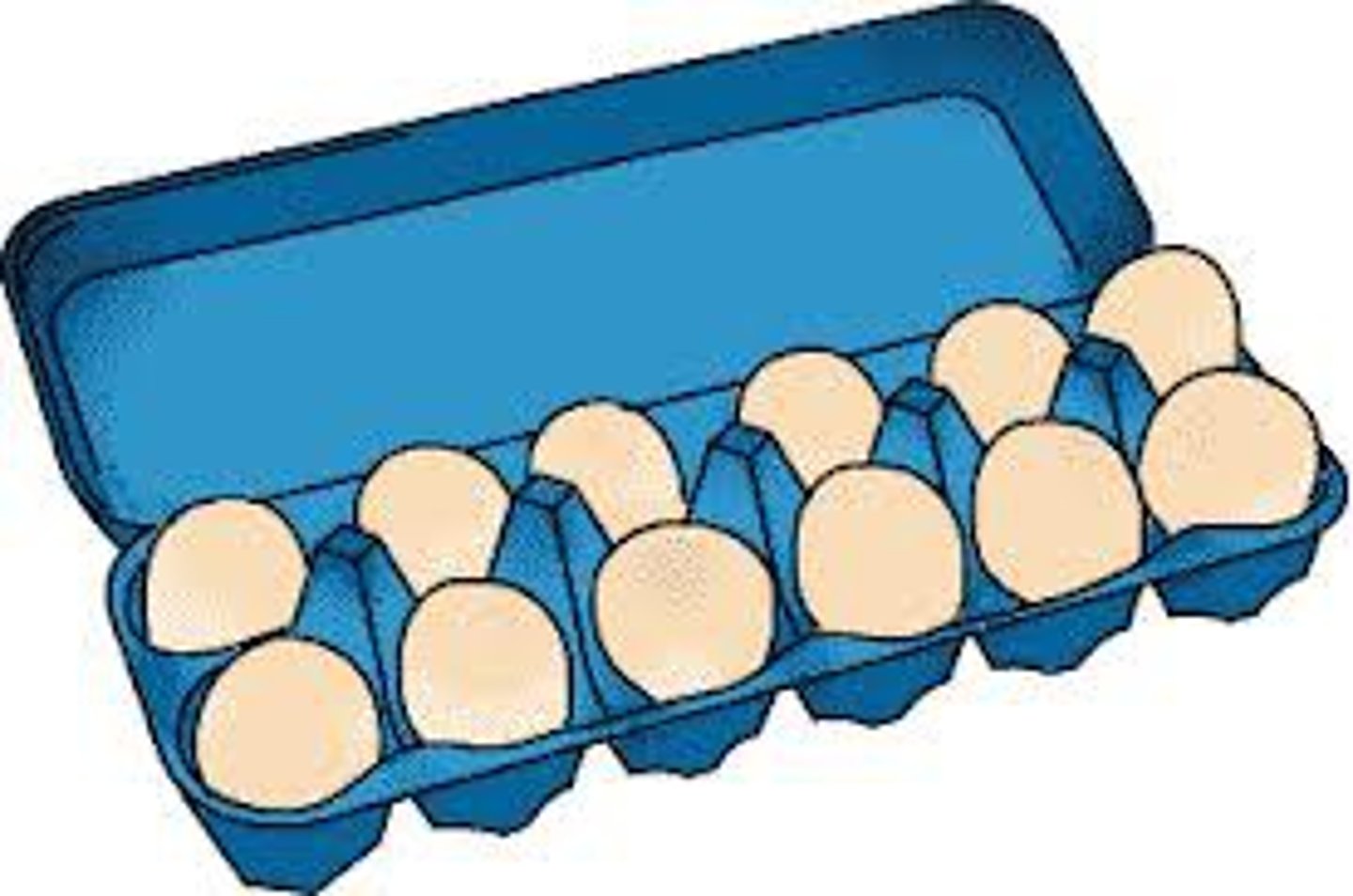 <p>eggs</p>