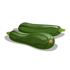 <p>Zucchini</p>