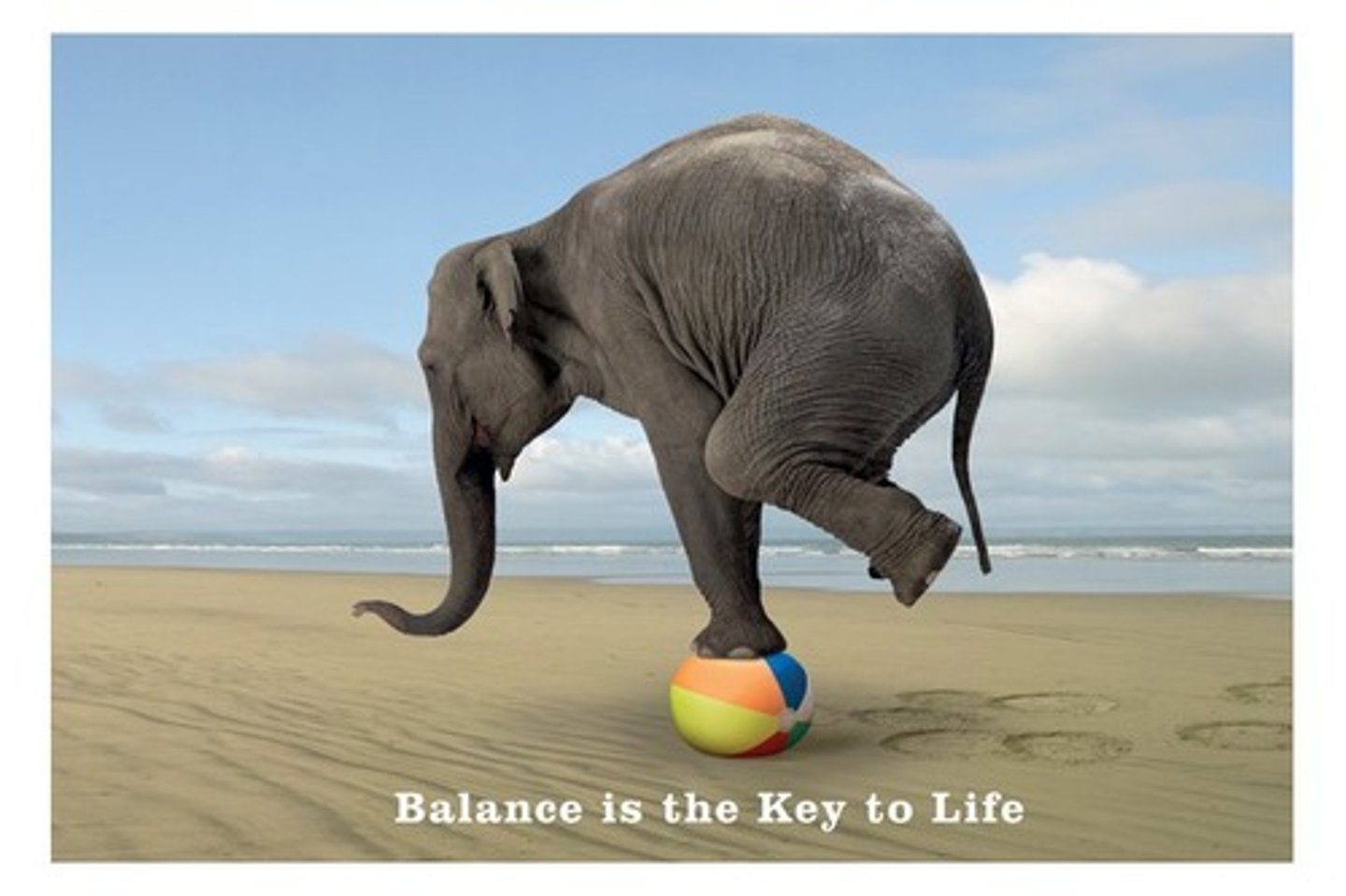 <p>the balance</p>