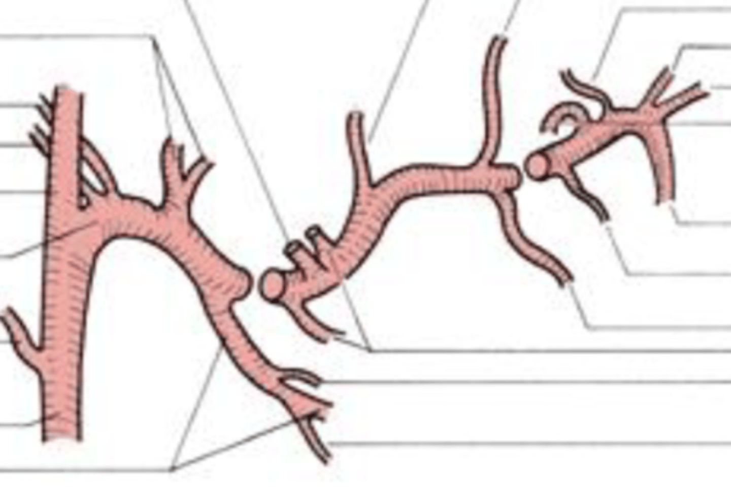 <p>1st part on left</p>