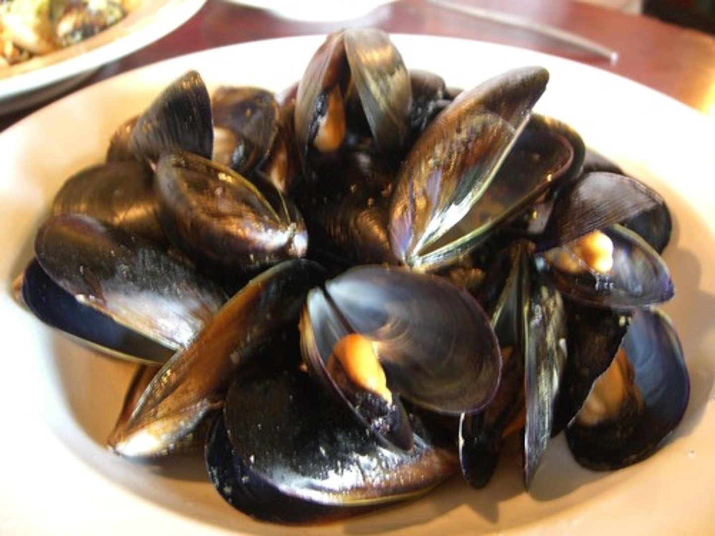<p>mussels</p>