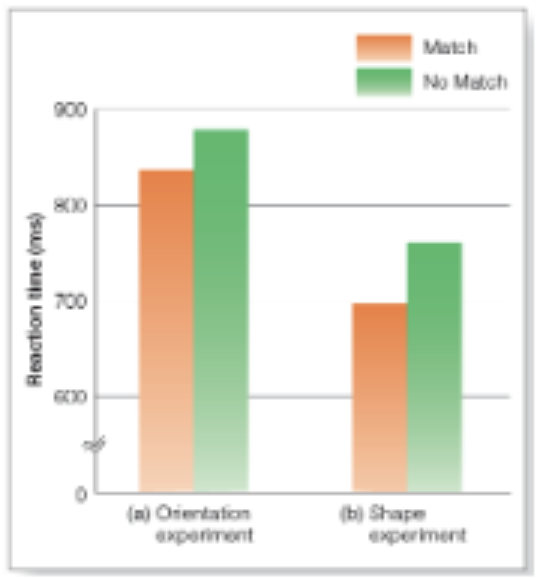 \
Results of Stanfield and Zwaan’s (2001) and Zwaan et al.’s (2002) experiments. Subjects responded “yes” more rapidly \n for the orientation, in (a), and the shape, in (b), that was \n more consistent with the sentence.