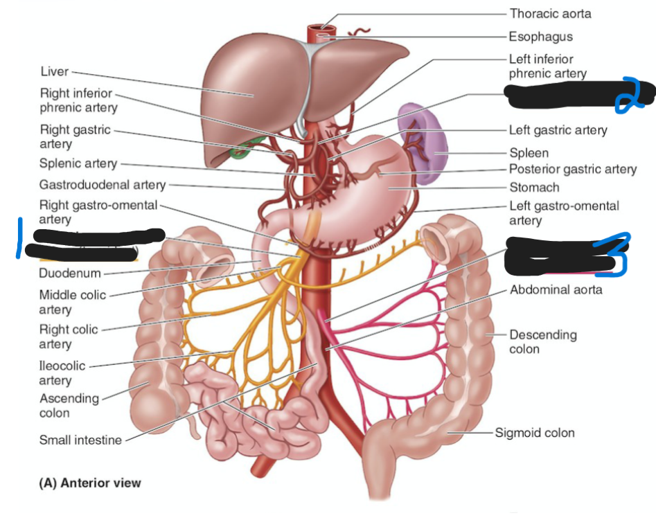 <p>what is number 2</p>