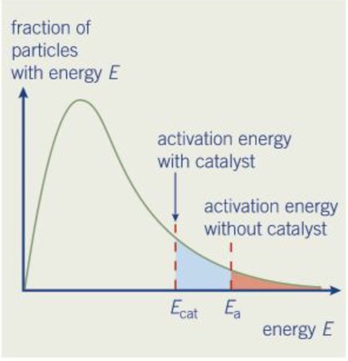 <p>a) directly under the peak of the curve</p><p>b) slight to the right of the most probably energy (particles with very high energy skew the mean to the right)</p><p>c) to the left of the activation energy</p><p>d) 2/3d alone the x axis</p>