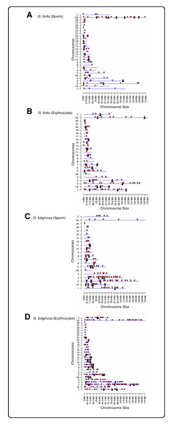 <p>Figure 4</p>