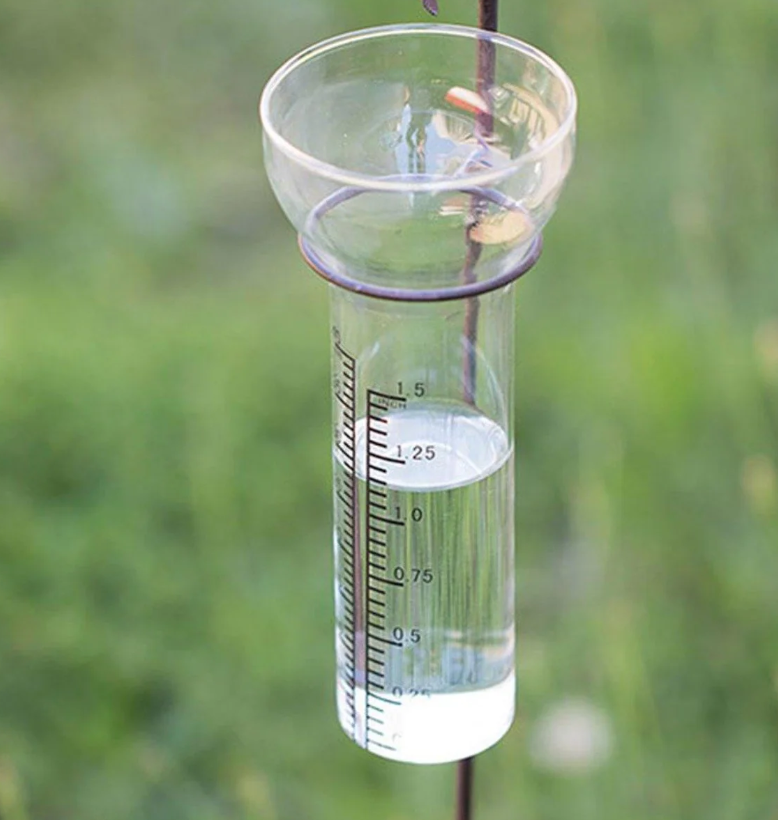 <p>Rain gauge</p>