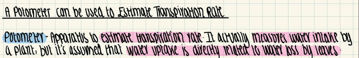 knowt flashcard image