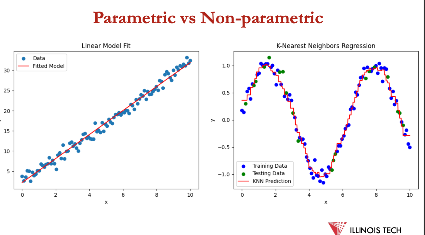 <p>non parametric learning</p>