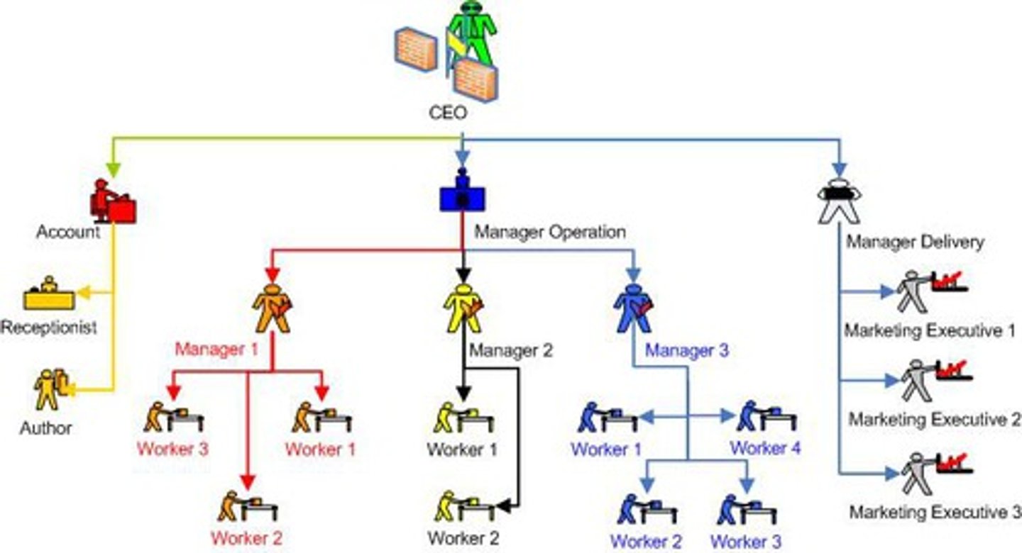 <p>An organisational structure where there are fewer and fewer people on each higher level</p>