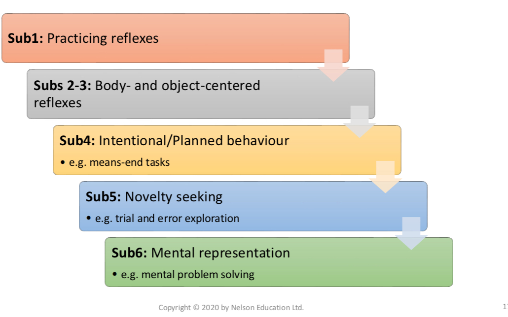 knowt flashcard image